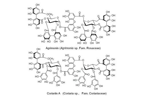 Chem_Coriariin-Agrimonin
