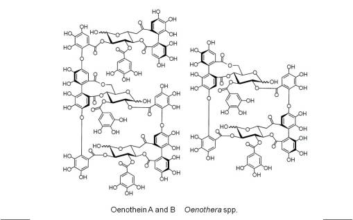 chem_Oenothein-A-B