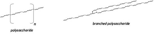 chem_Polysacch2branched