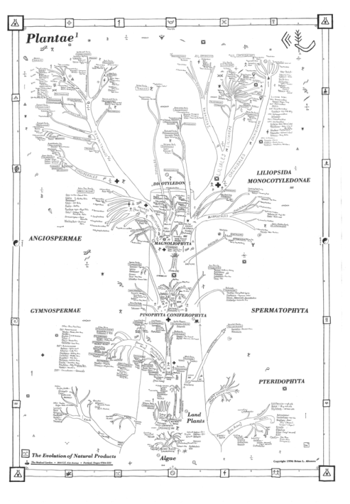 Evolution_StudentHandout_PlanteexclDicots