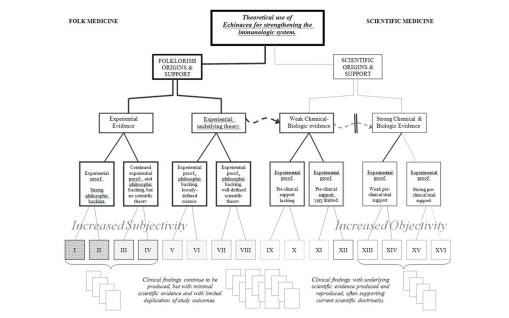 flowchart_echinacea