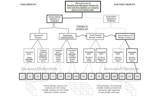 Flowchart_Podophyllum