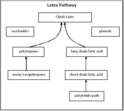latexpath