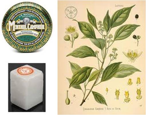 OT_Camphor
