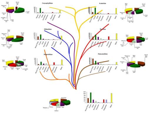 PlantaeEvolChem1_Dicot2