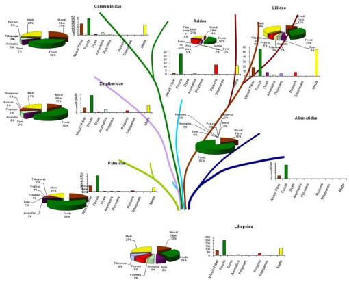 PlantaeEvolChem1_Monocot2