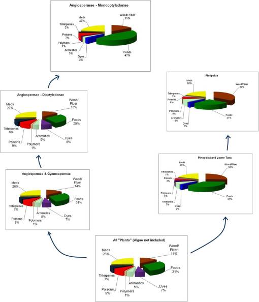 PlantaeEvolChem6_All-Gymno-Angio