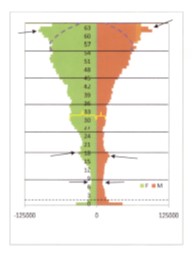 PopulationAgeGenderInsured