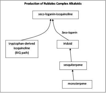 rubioidsalkaloidcomplex