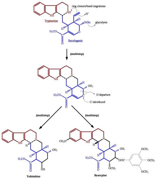 SecologaninPath
