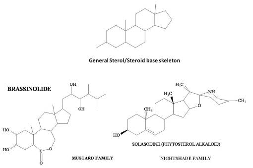 Sterols-2specialized