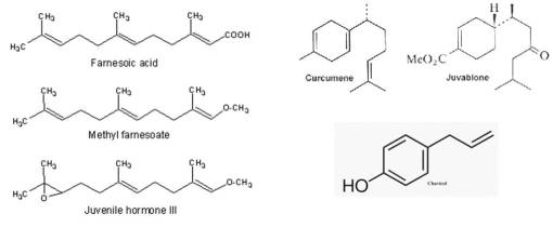 terpenoids