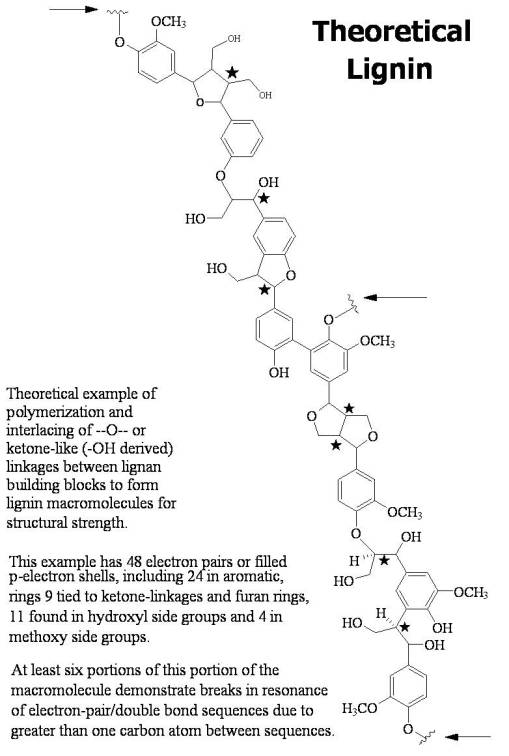 Theoretical Lignin