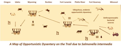 Thesis_6_OT_Med_AMapofOppDysontheOregonTrailduetoSalmonellaintermedia