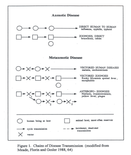 Thesis_Figure1_ChainsofDiseaseTransmission
