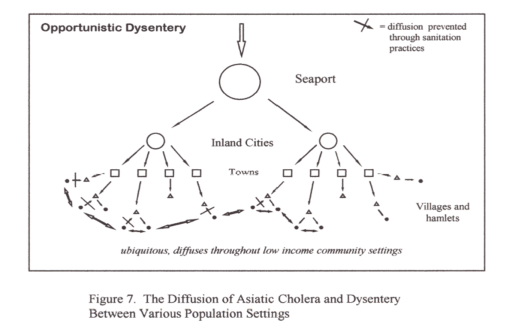 Thesis_Figure7b_OpportunisticDysenteryDiffusionPattern