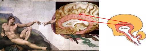 miracles_credibility-creation