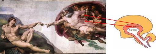 miracles_credibility-creation2