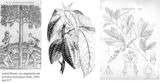 Xopher_316-17CDiscoveries