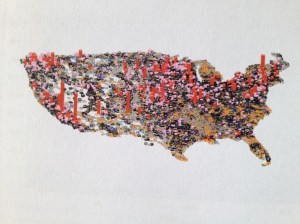 US_Colorful3DmapofDiseases