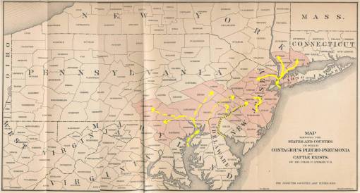 lungplagueinitialdiffusion