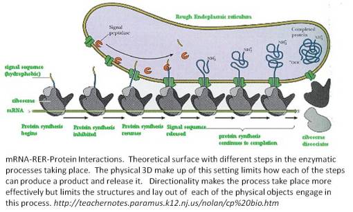 GeogPltsChem3_RER-ppsynth