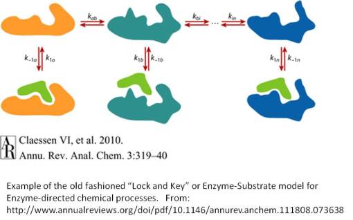 GeogPltsChem4_LockandKey