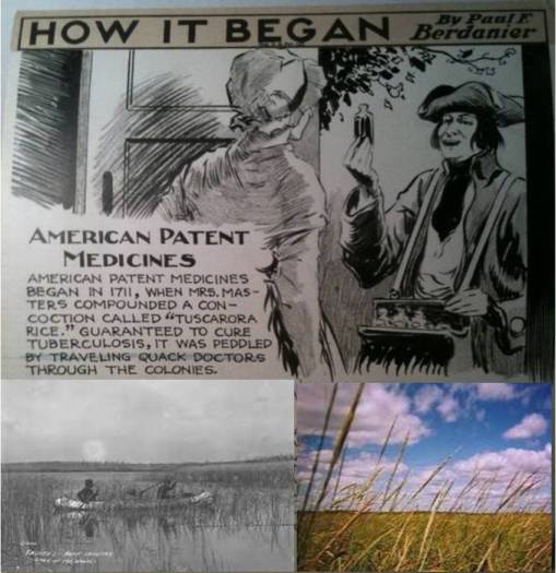 MannassehSite_TuscaroraRice2