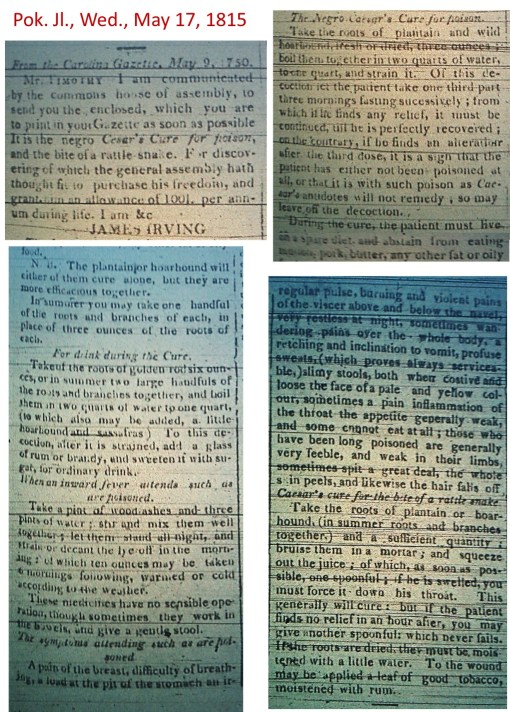 PkJl_May17,1815_NegroSnakeRemedyfrom1759