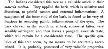 RevDrManassehCutler_Hamamaelis_412-3