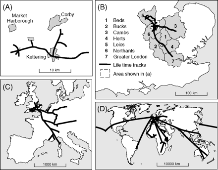 BRadleys_Travel-Generations_GGF,GF,Father,Son