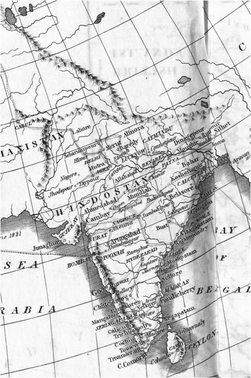 Scouttetten_IndiaCloseup