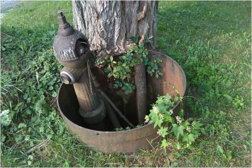 Shakers_06_HydrantbyTree