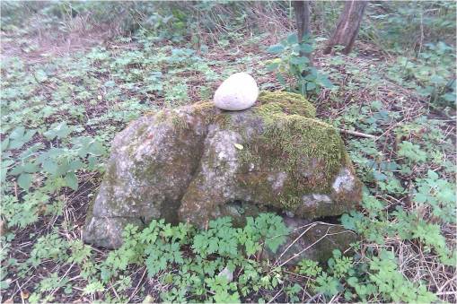 Shakers_07_MeditationRocks