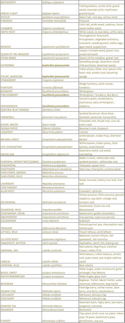 ShakerVillageHerbs_Native_Herbs_2-Dicots_GeneraE-M