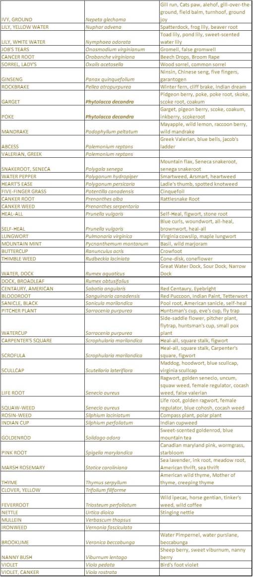 ShakerVillageHerbs_Native_Herbs_2-Dicots_GeneraN-Z