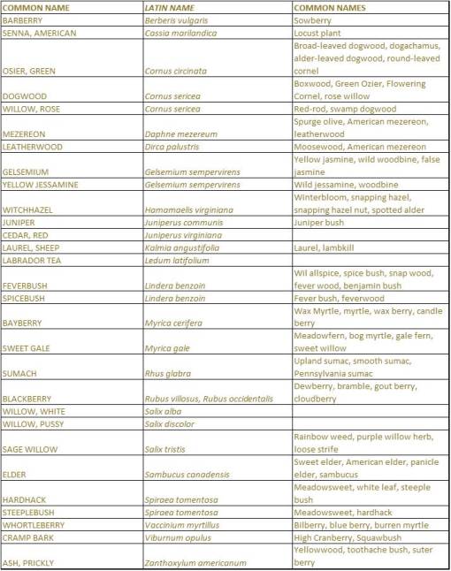 ShakerVillageHerbs_Native_Shrubs