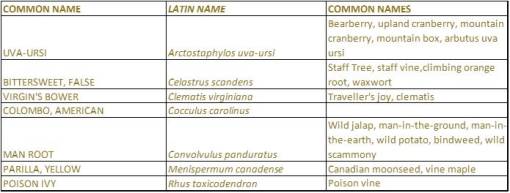 ShakerVillageHerbs_Native_Vines