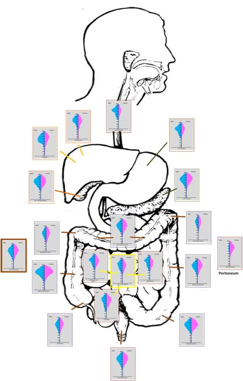 Esophageal-Gastrointestinal-Cancers