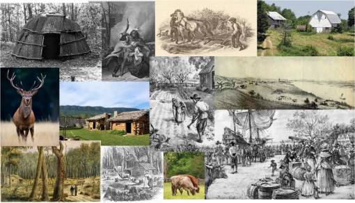 SequentOccupanceCollage