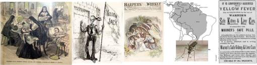 YellowFeverSiximages