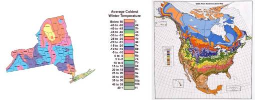 USDAPlantHardinessZones+westernNY
