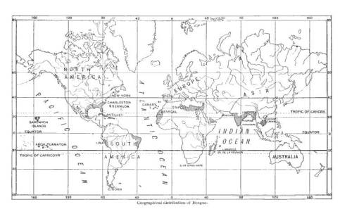 1889_JohnMKeating_CyclopediaoftheDisxsofChildren_Phil_RudolphMatas_Dengue_MAP