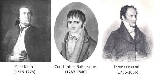 TouringBotanistsKalmRafinesqueNuttall