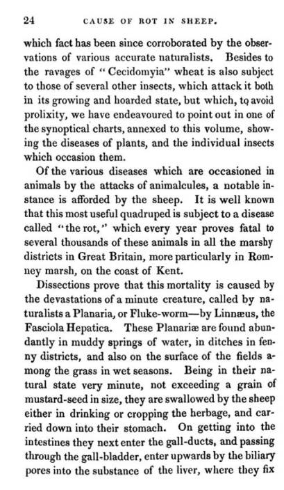 AdamNeale_1831_TheTruthofLinnaeanDoctrine_AnimalContagions_3_Ch2_p24_ReasonsforSupport