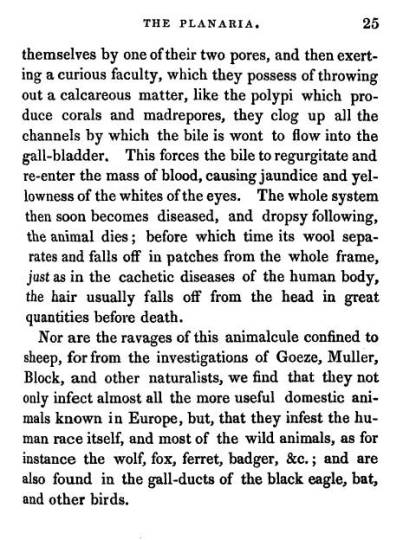 AdamNeale_1831_TheTruthofLinnaeanDoctrine_AnimalContagions_3_Ch2_p25_ReasonsforSupport