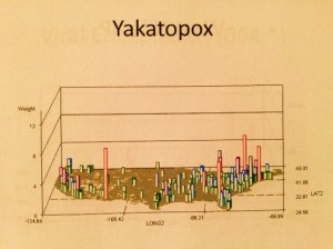 YakatoPox