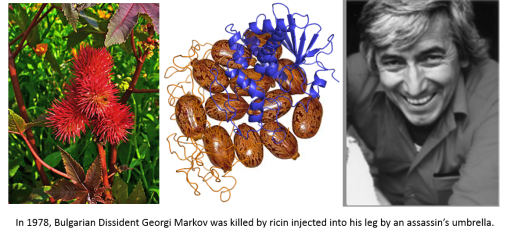 BulgarianAssassination