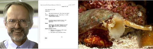 JakobSchmidtPortraitLLConus