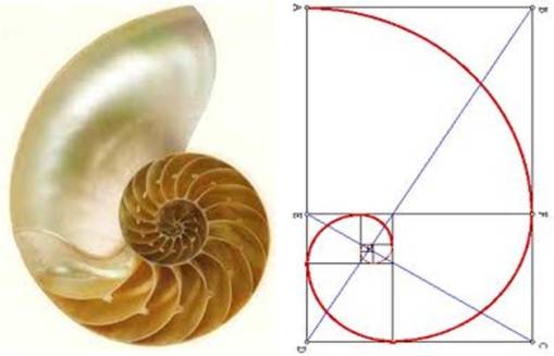GoldenRatio